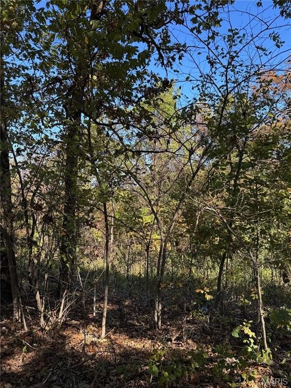 Other - 14505 Harvey Drive, Dixon, MO