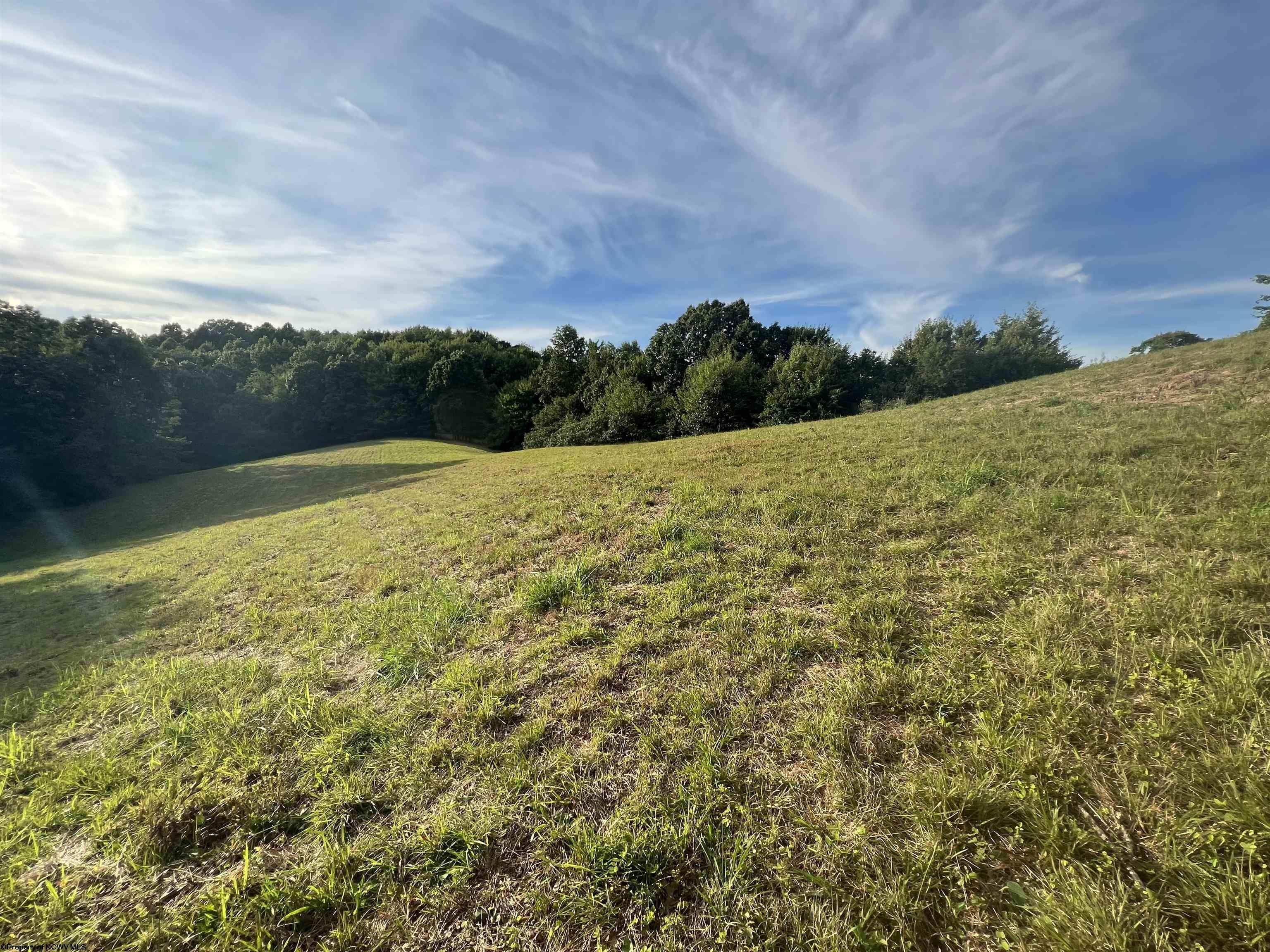 Plots and Land - 0 Ashburn Drive, Buckhannon, WV