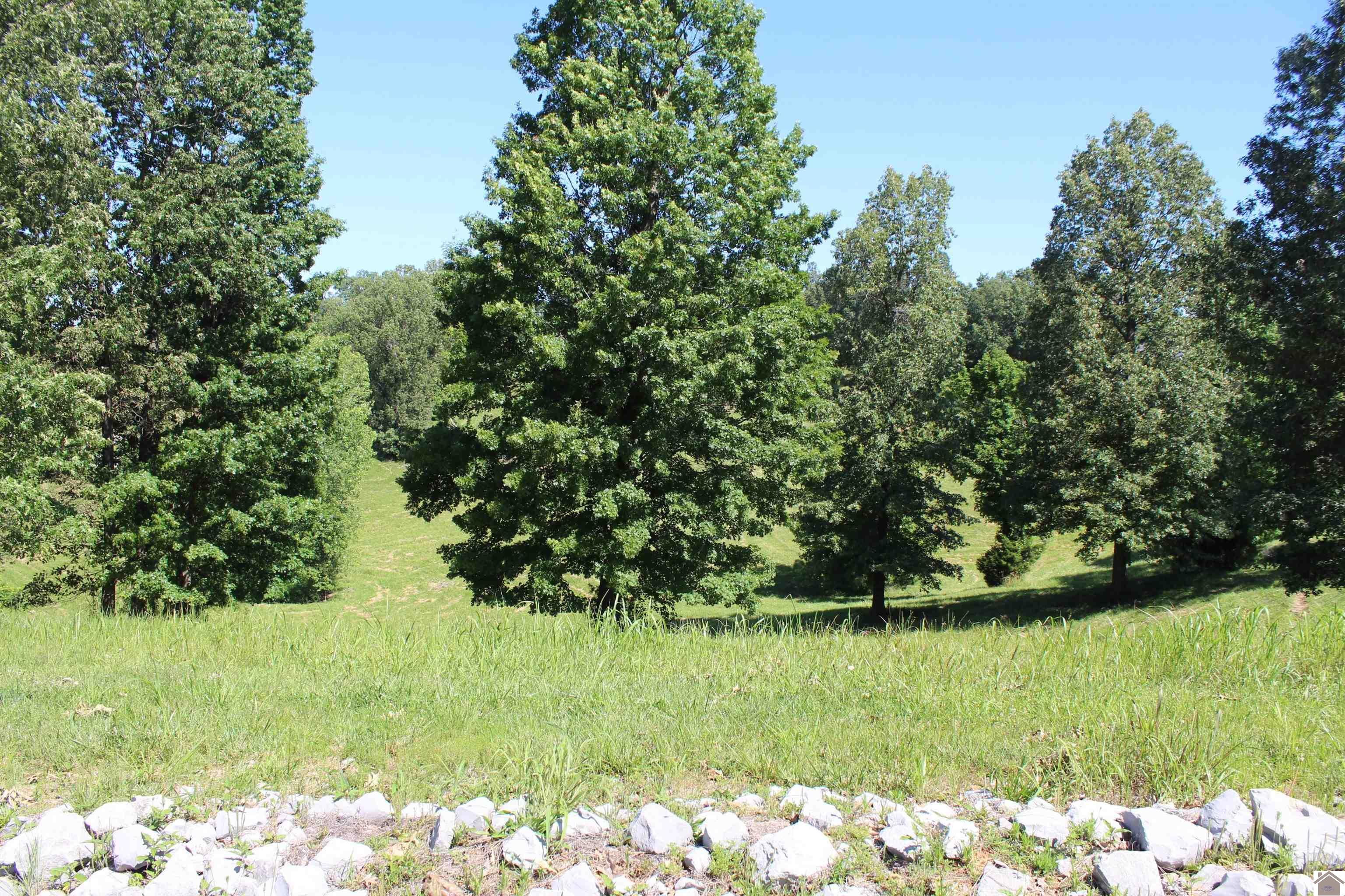 Other - Lot 36 Oak View Lane, Eddyville, KY