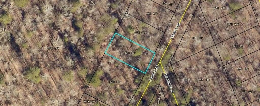 Other - 140 Caprice Drive, Martin, GA