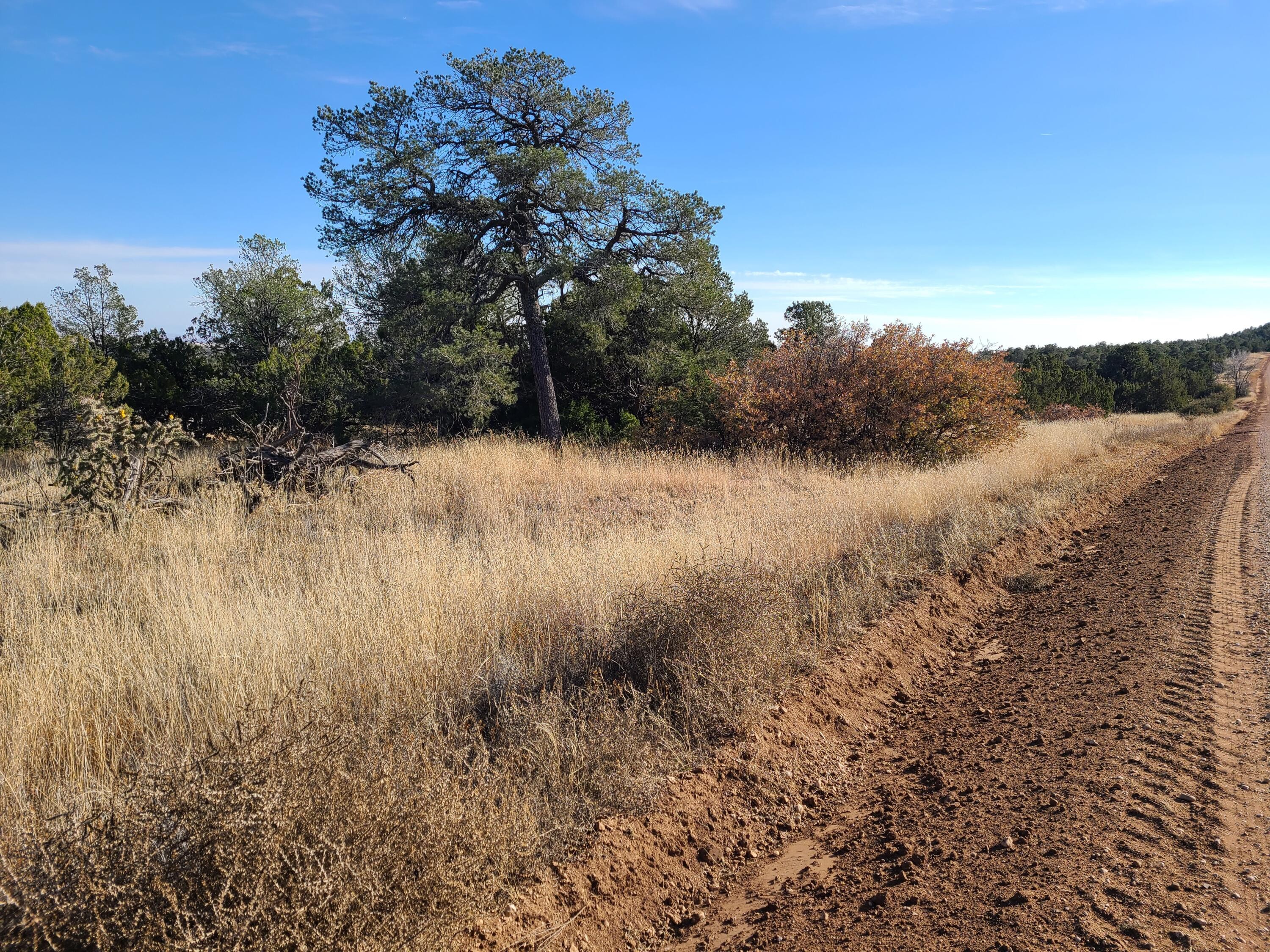 Other - Rosewood Drive, Tajique, NM
