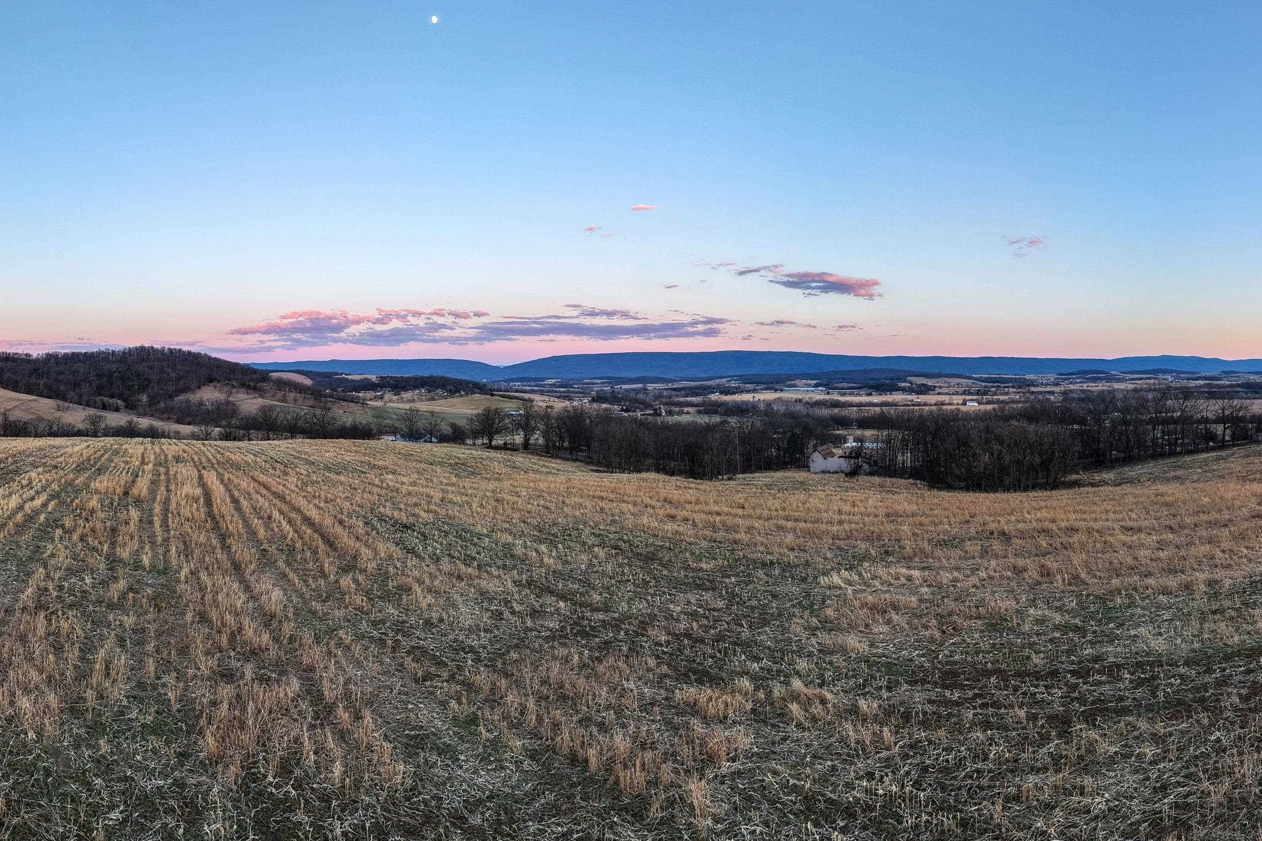 Plots and Land - 0 NEIGHBORS LN, TIMBERVILLE, VA