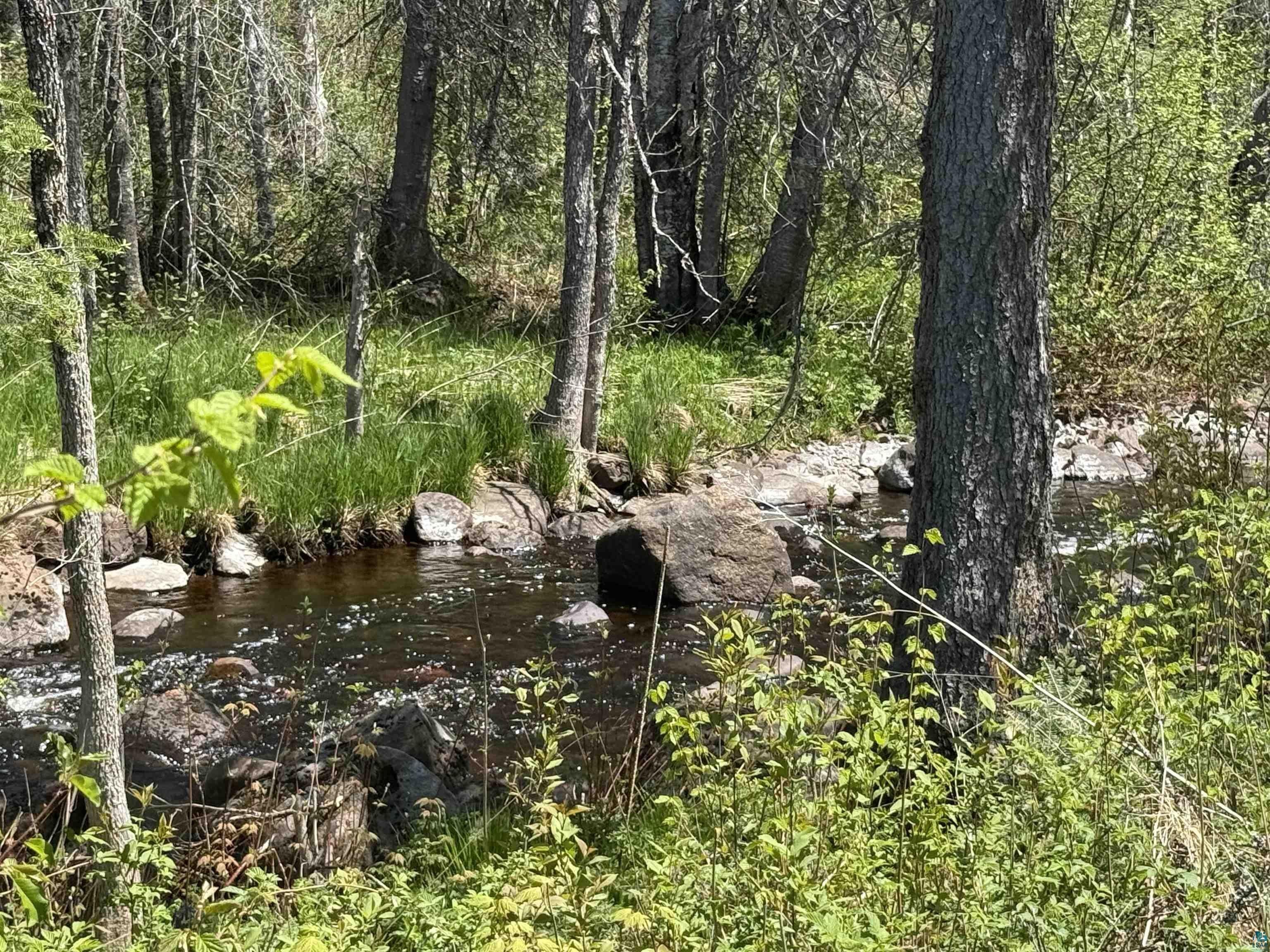 Other - Crown Creek Spur Rd, Finland, MN