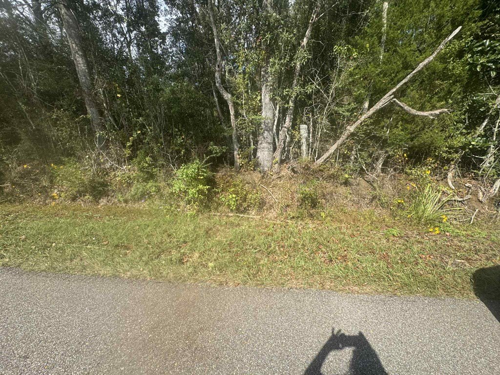 Other - 0 Sandhill Township Rd., Ellisville, MS