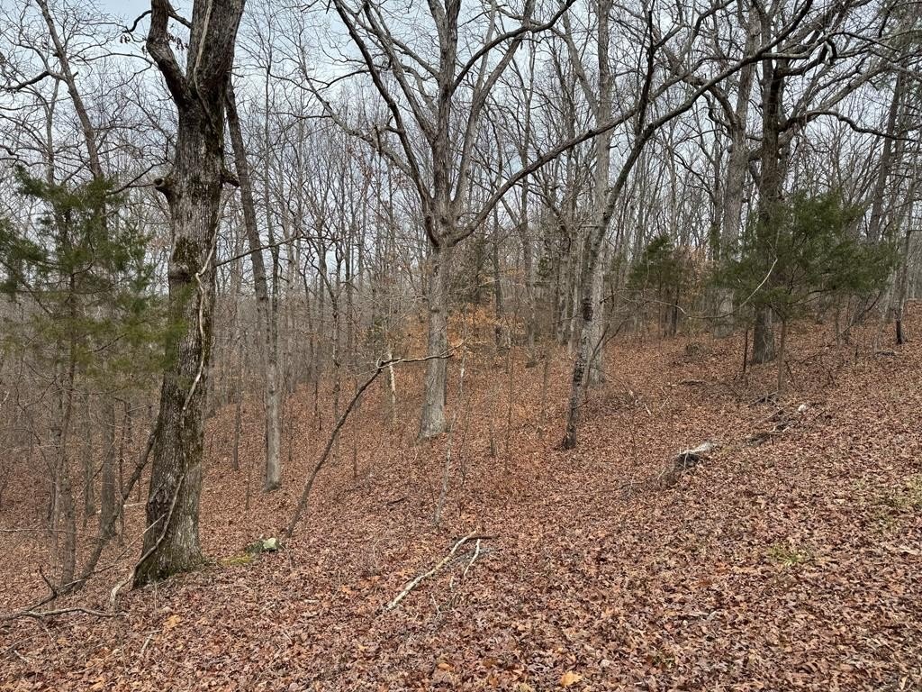 Other - 613 Williams Grove Rd, CAMDEN, TN
