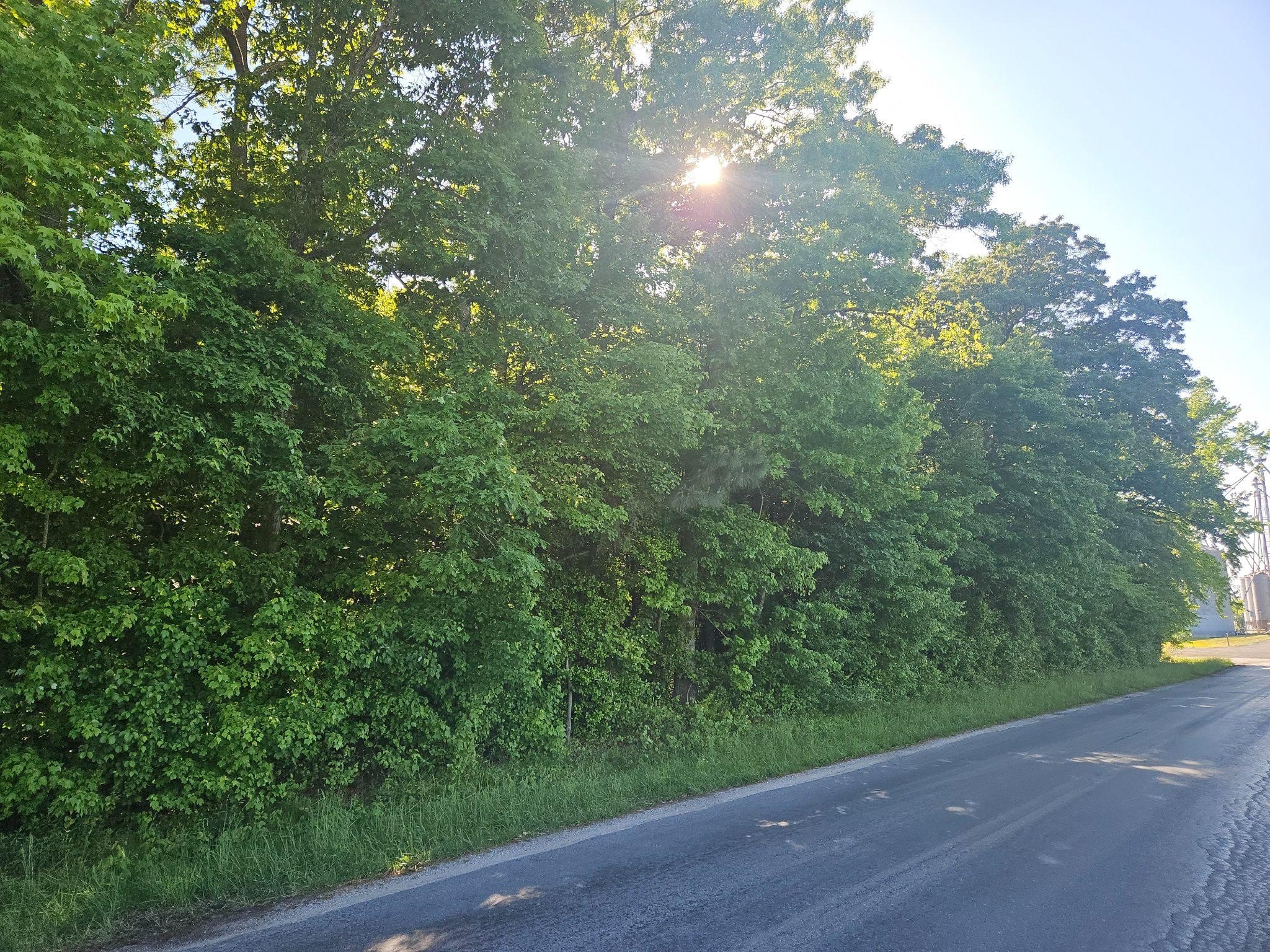 Plots and Land - LOT 4 RIVER RD, GREENSBORO, MD