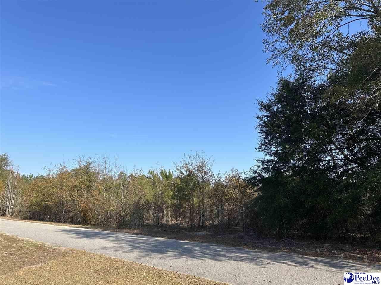 Single Family - Lot 57 Berry Road, Latta, SC