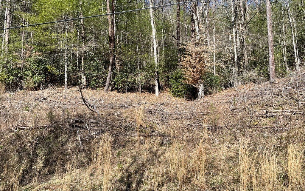 Other - Lot 3 Fires Creek Road, HAYESVILLE, NC
