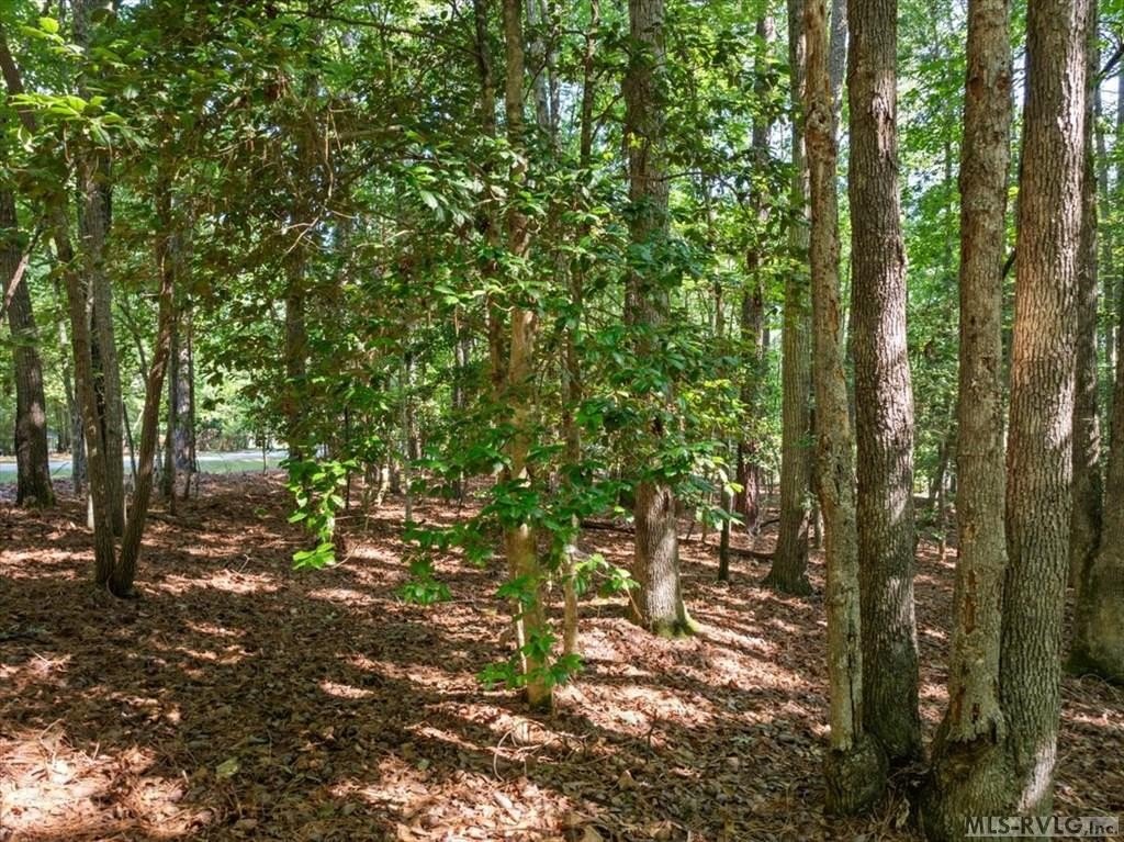 Manufactured Housing - Lot 16 Hill Ln, Bracey, VA