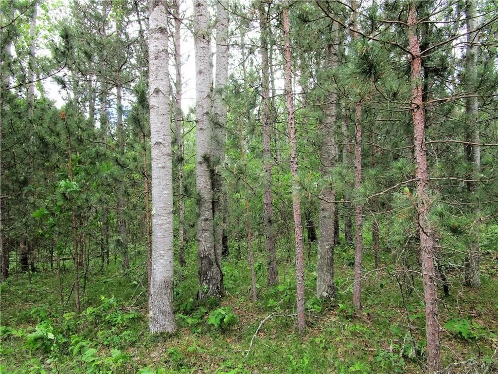 Other - Bridle Road lot: 111 & 112, Webster, WI