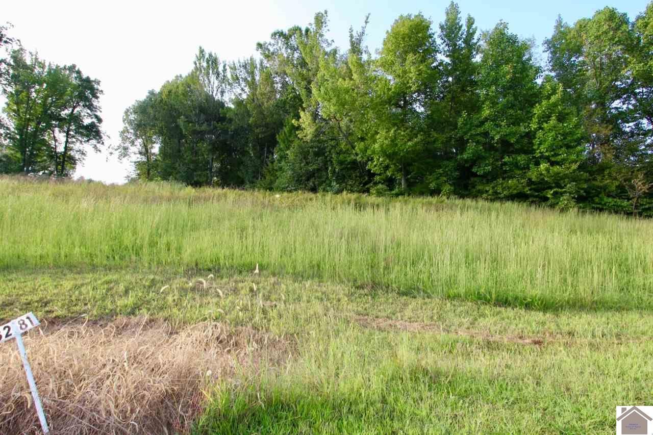 Other - Lot #81 Kelsey Jo, Eddyville, KY