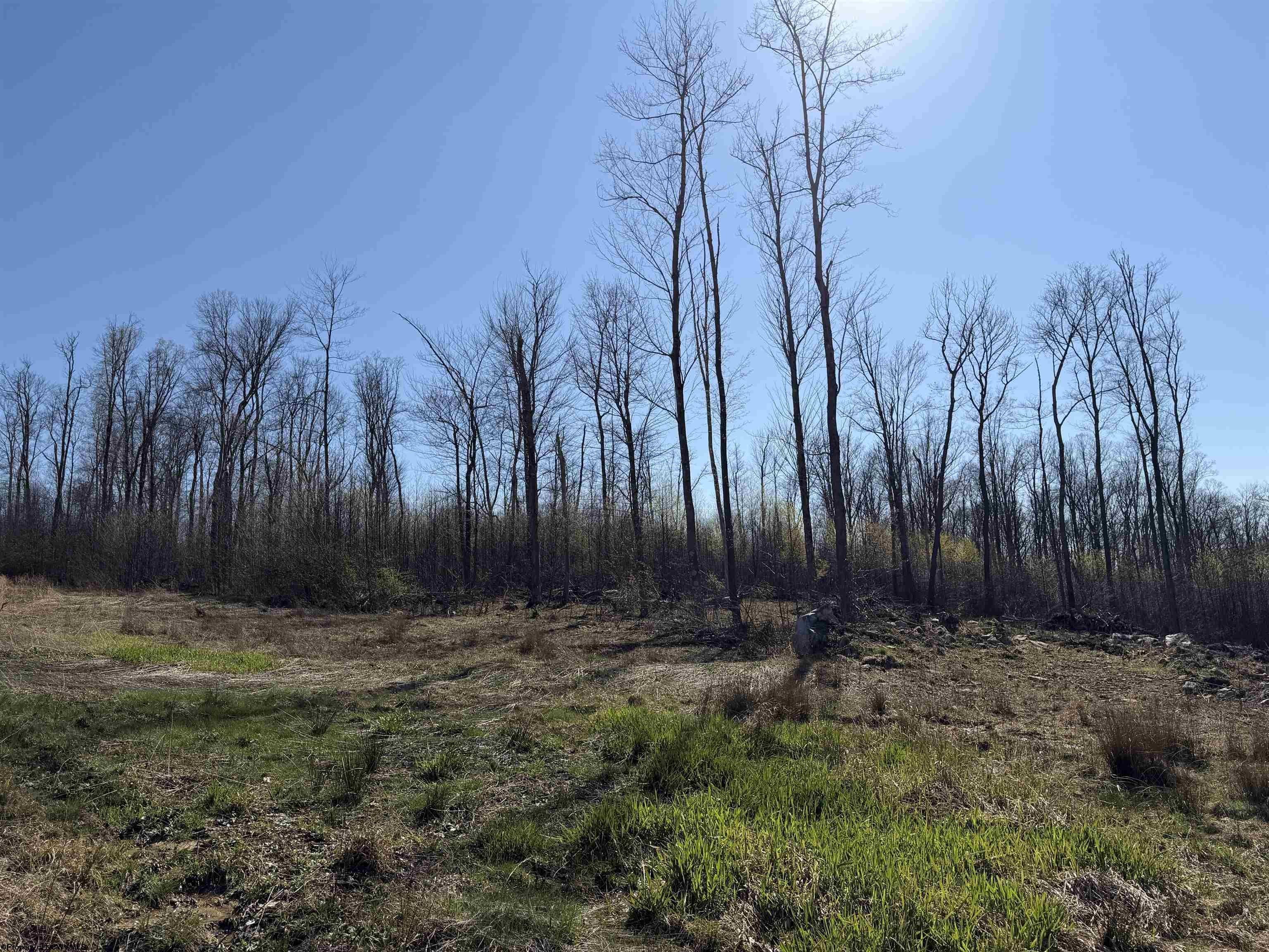 Other - Lot 3 N Poplar Ridge, Bruceton Mills, WV