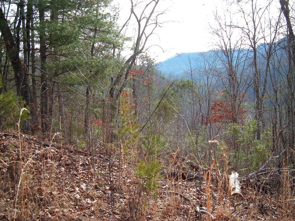 Other - Cedar Cliff/Stovall lot: 13, Tuckasegee, NC