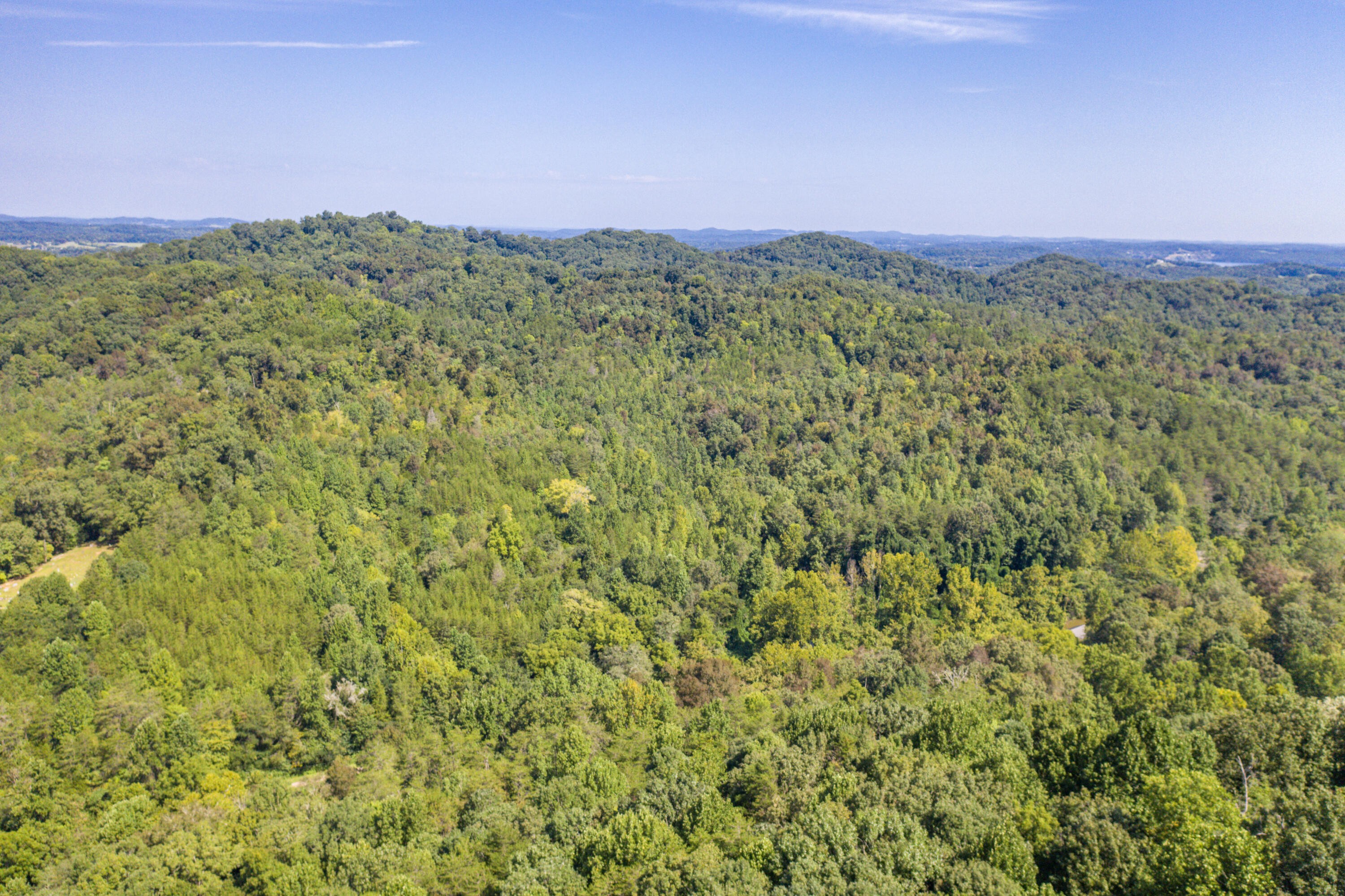 Other - 1125 Scenic River Road 71.67 Acres, Madisonville, TN