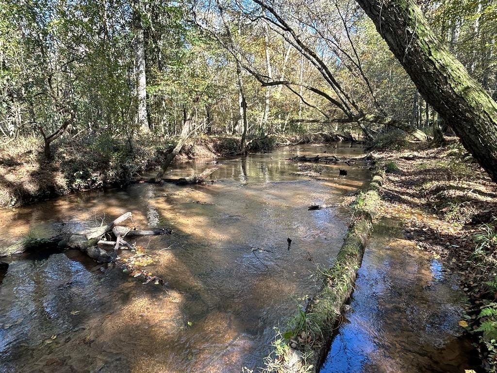 Single Family - 229 +-ac Cty Rd 62/ Cty Rd 160 (Morgan Rd), Coleman, GA