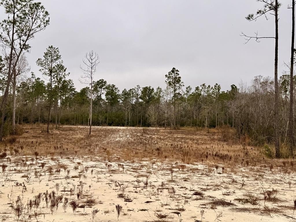 Other - E Creekview Dr, Wewahitchka, FL