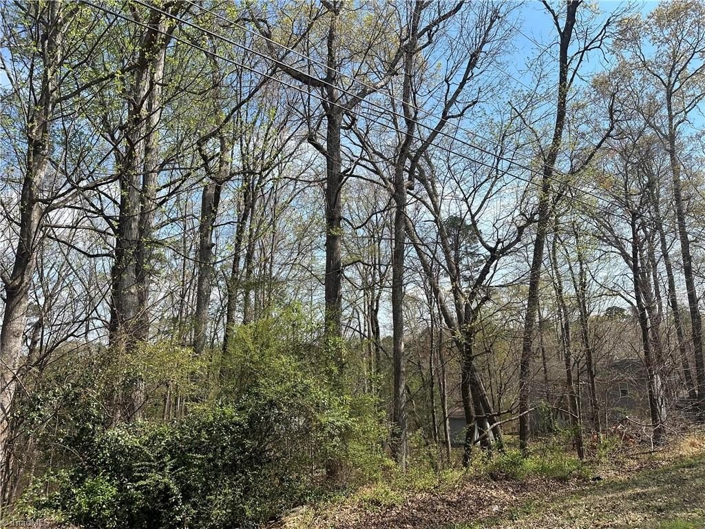 Single Family - Idlewild Drive Extension, Randleman, NC