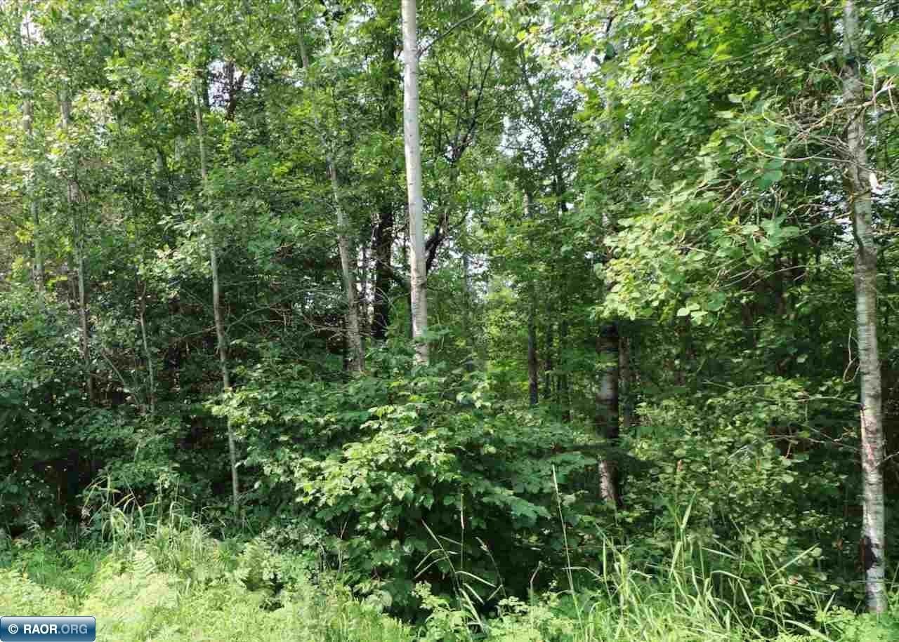 Other - Deer Forest Rd, Aurora, MN