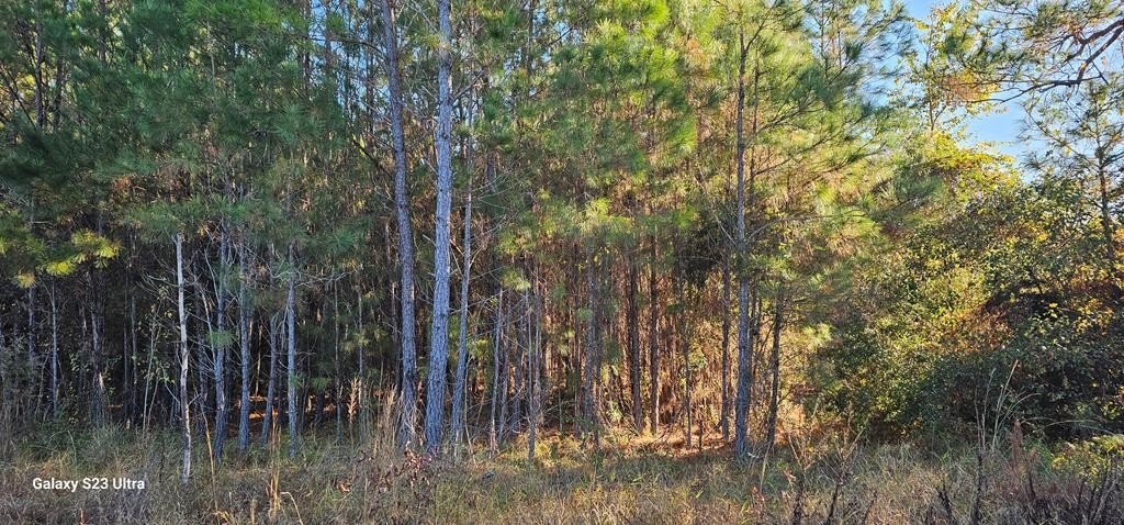 Single Family - 3869 Shelton Road, Lake Park, GA