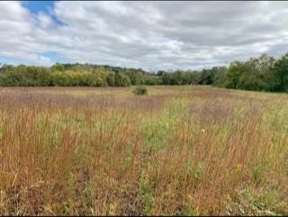 Other - 724 Blue Water Dr_Lot 27, Cookeville, TN