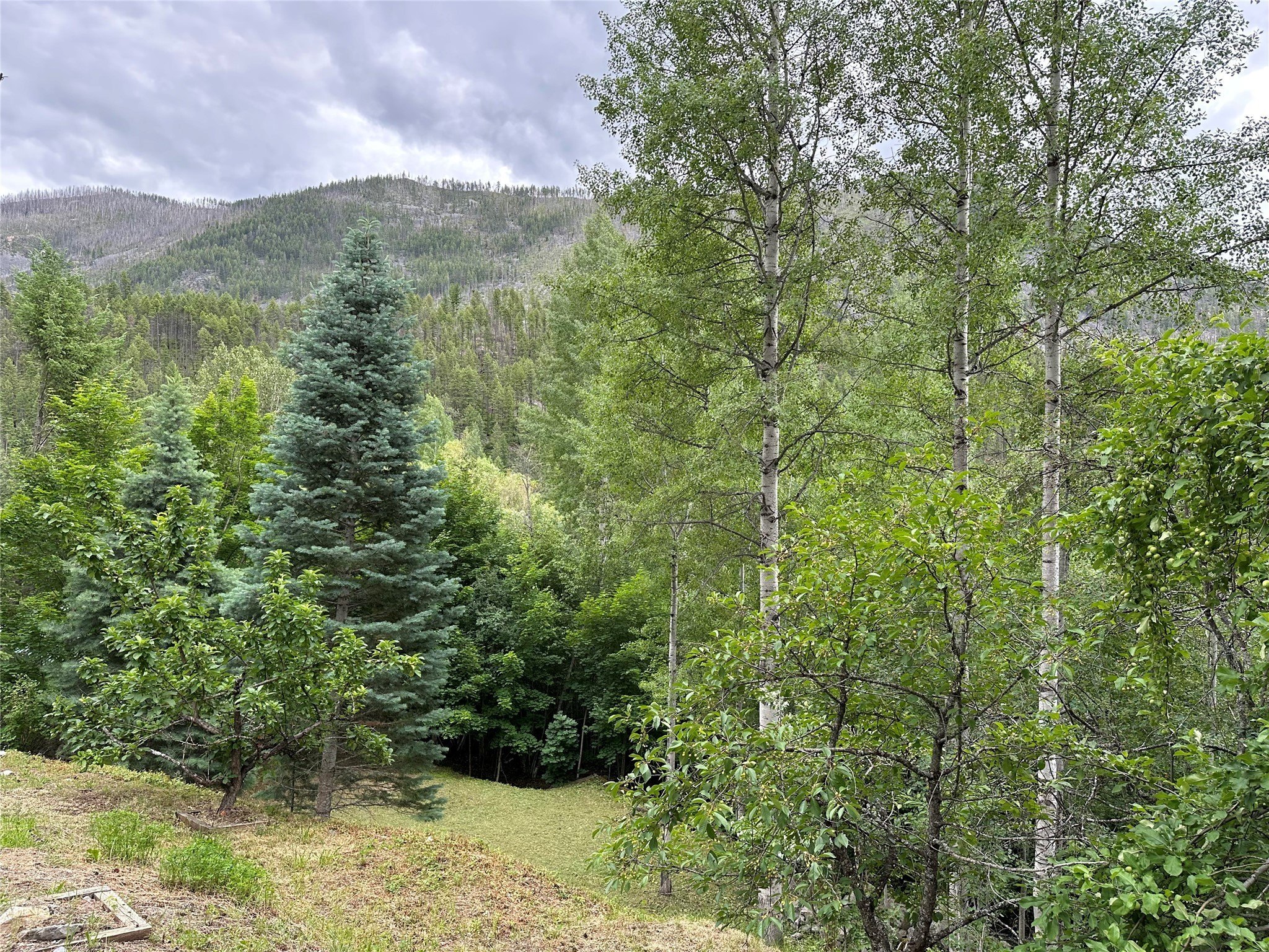 8 Cedar Gulch Ln  