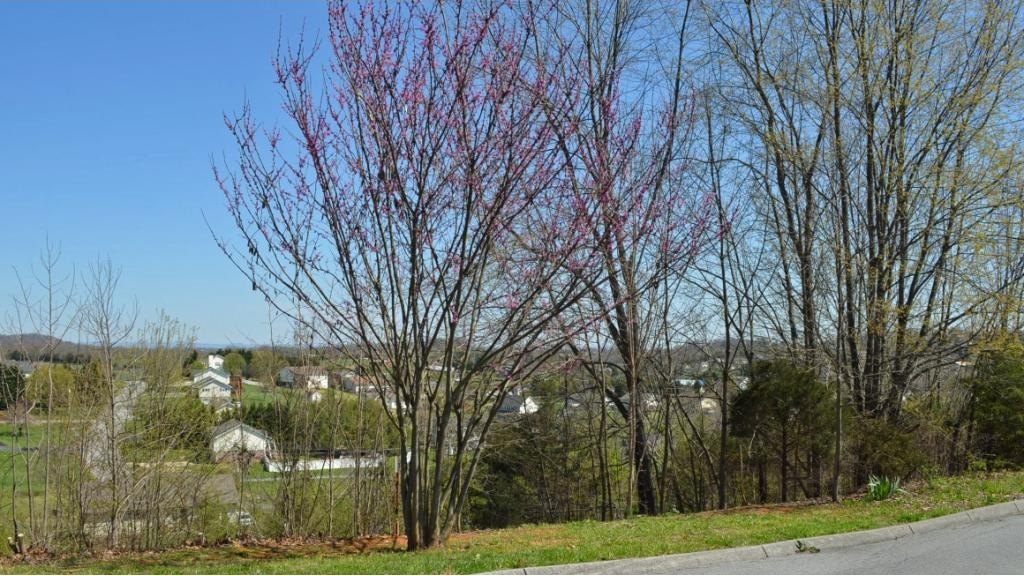 Other - 208 Alfalfa Lane, Jonesborough, TN