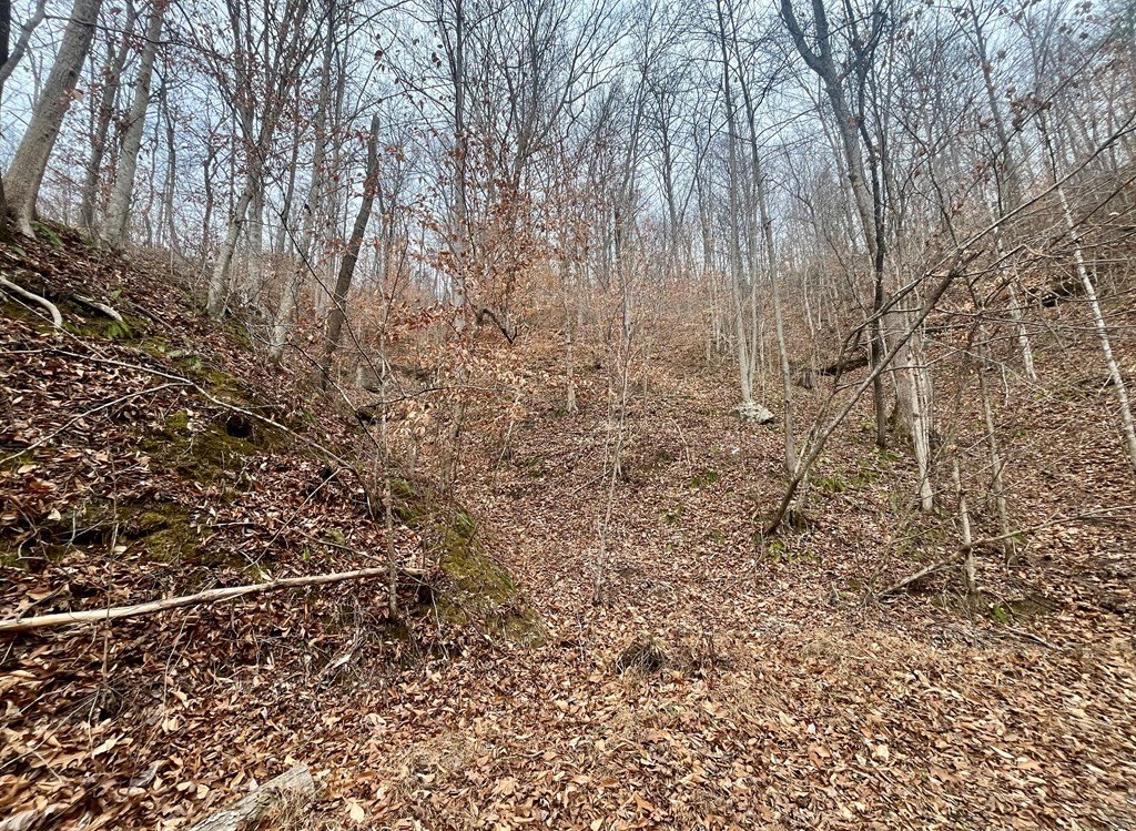 Other - "0" Rough N Tough, Prestonsburg, KY