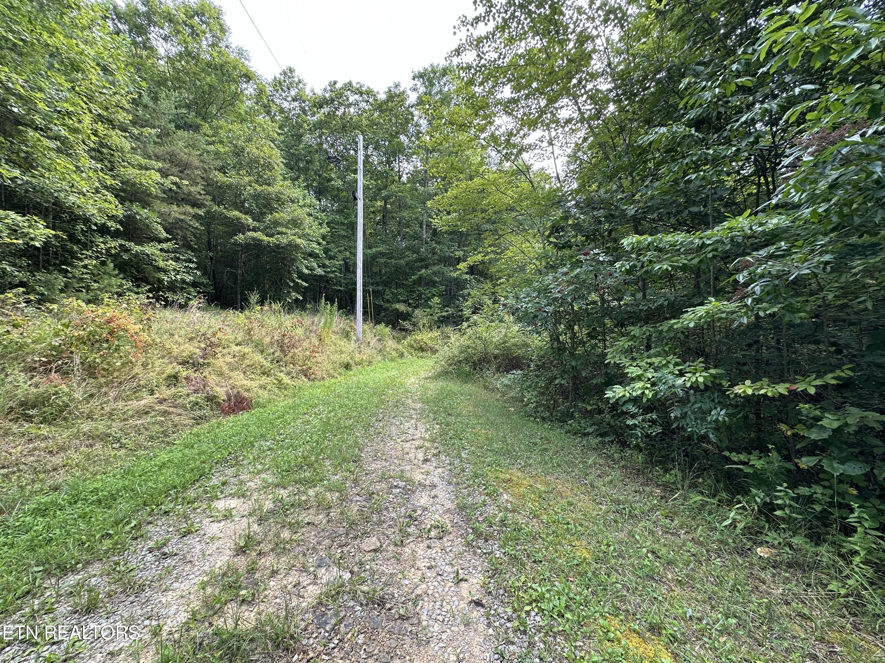 Other - Anthony Rd, Deer Lodge, TN