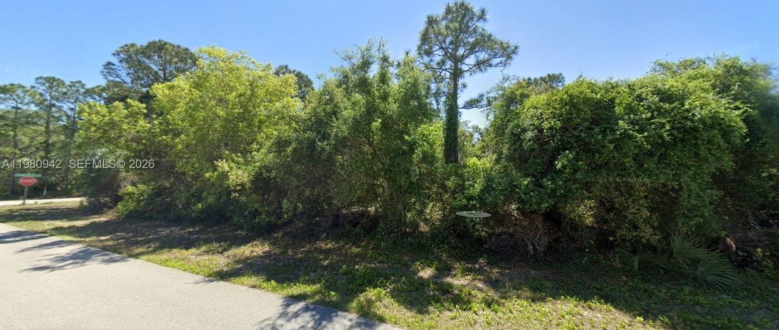 Other - 235 Deerwalk Ave, Lake Placid, FL