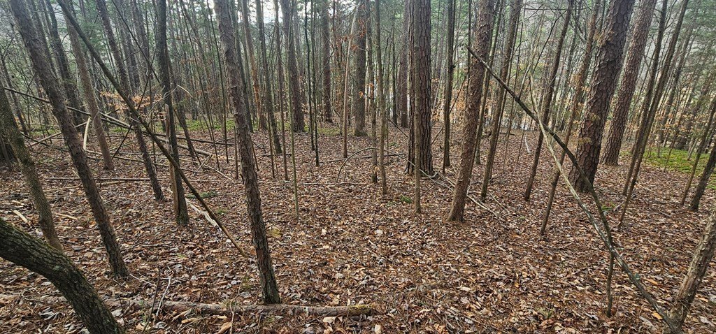 Other - 127 Diamond Ridge Rd, Webbville, KY