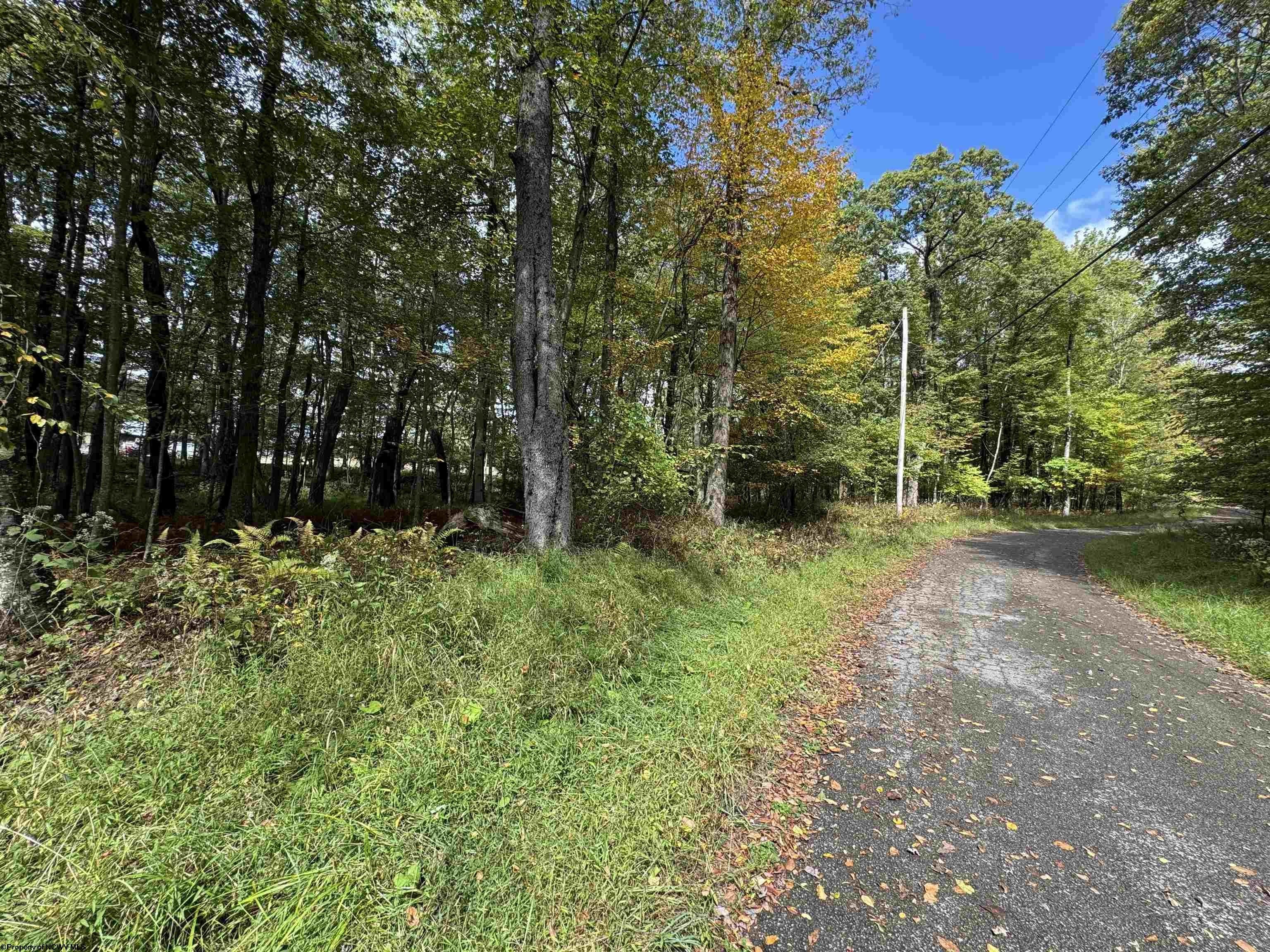 Other - Lots 5 and 6 Dogwood Lane, Terra Alta, WV