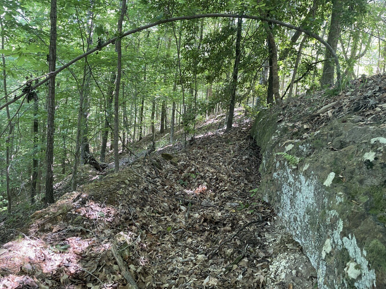 Other - HWY 17, Butler, AL