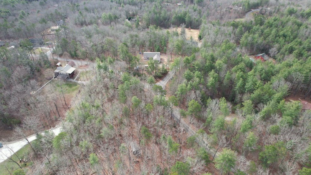 Other - Lot 12 Deer Forest, Morganton, GA