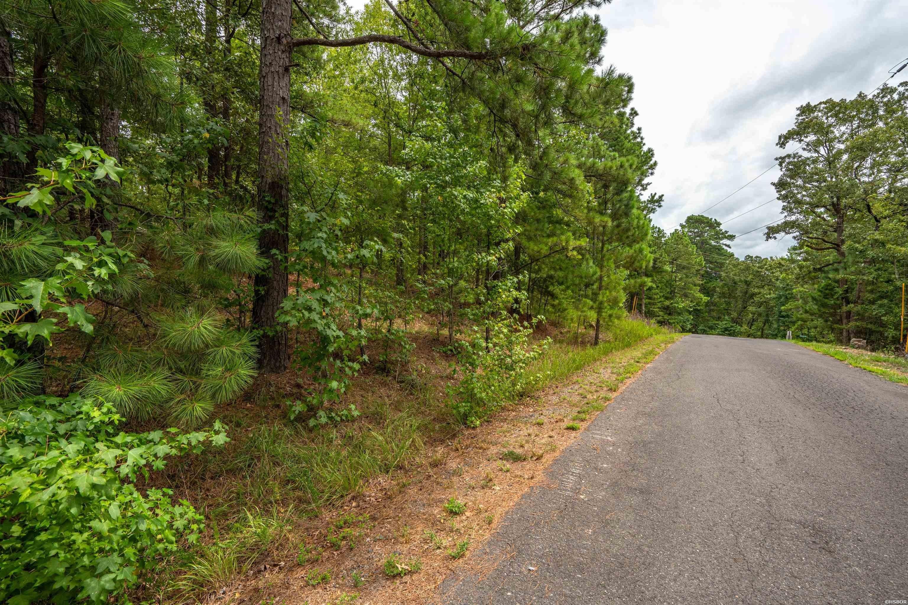 Single Family - Lot 4 EAGLES NEST Lane, Malvern, AR