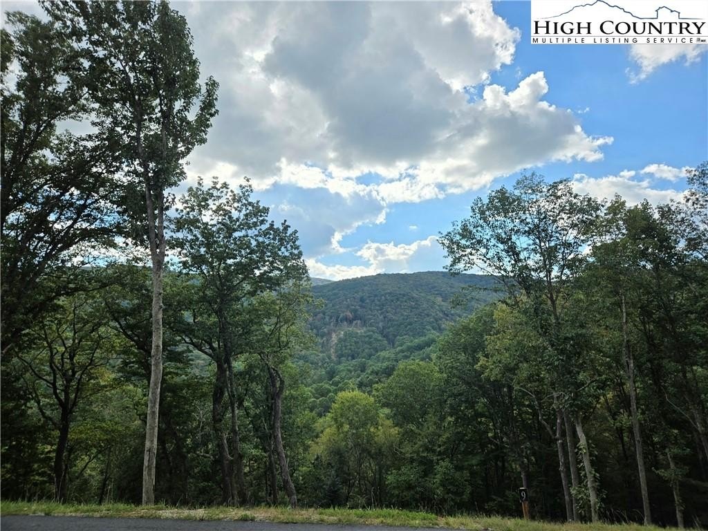 Other - TBD (Lot 9) Poplar Forest Drive, Boone, NC