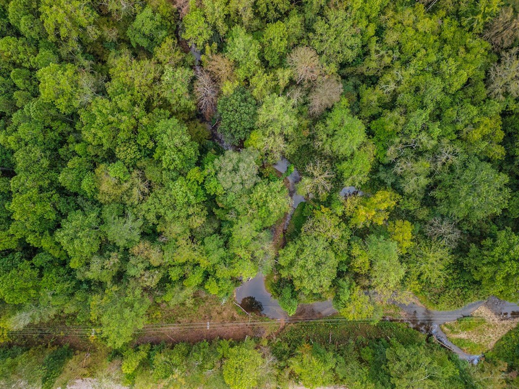 Other - 3.11 ac Old Northcutt Road lot: 2, Ellijay, GA