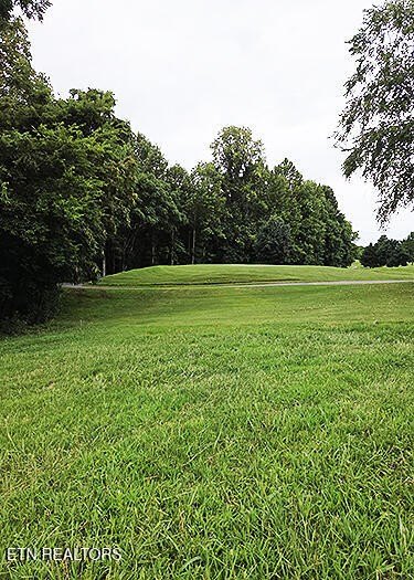 Other - 148 White Hawk Drive, Vonore, TN