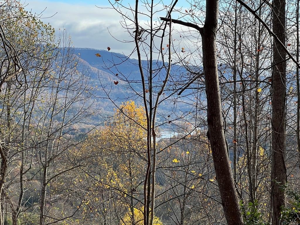 Other - Tr 1 Hidden Summit, HIAWASSEE, GA