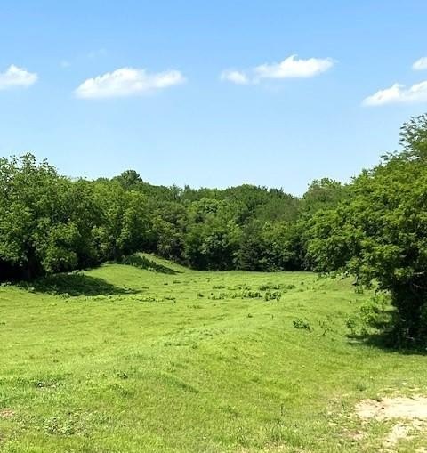 Single Family - Tbd CR 663, Farmersville, TX