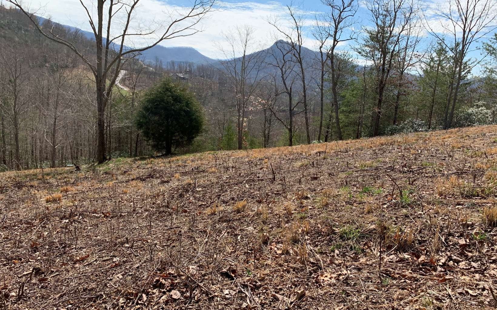 Other - Lot 42 Dan Knob, HAYESVILLE, NC