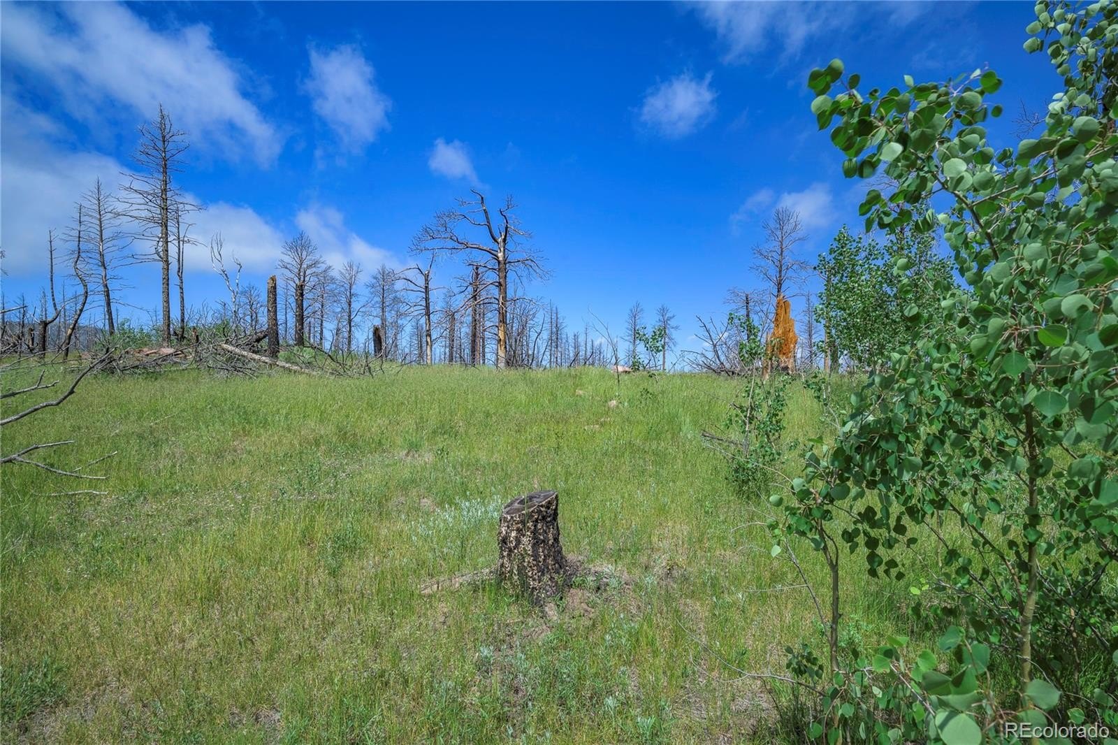 Plots and Land - 1185 Bechtel Place, Fort Garland, CO