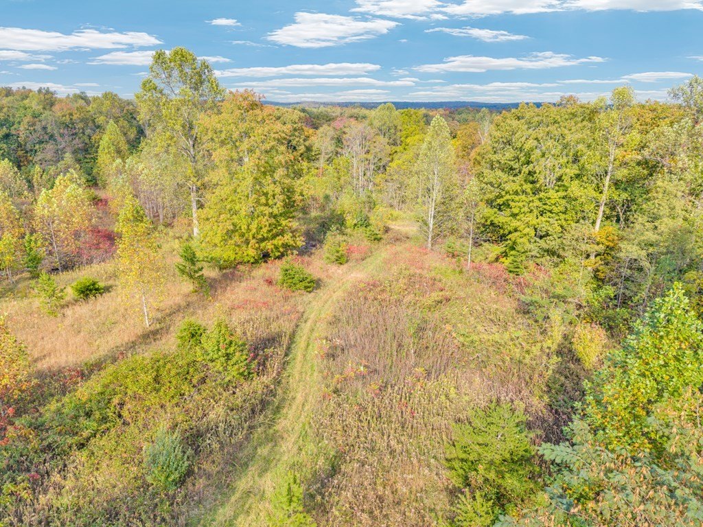 Other - 202 Sells Cemetery Rd, Wilder, TN