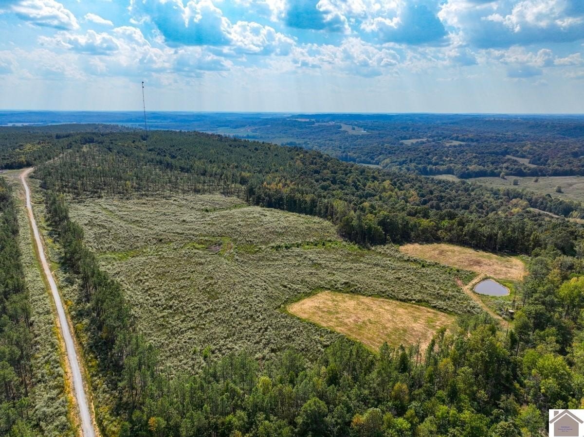 Plots and Land - 000 Cedar Grove Road, Salem, KY