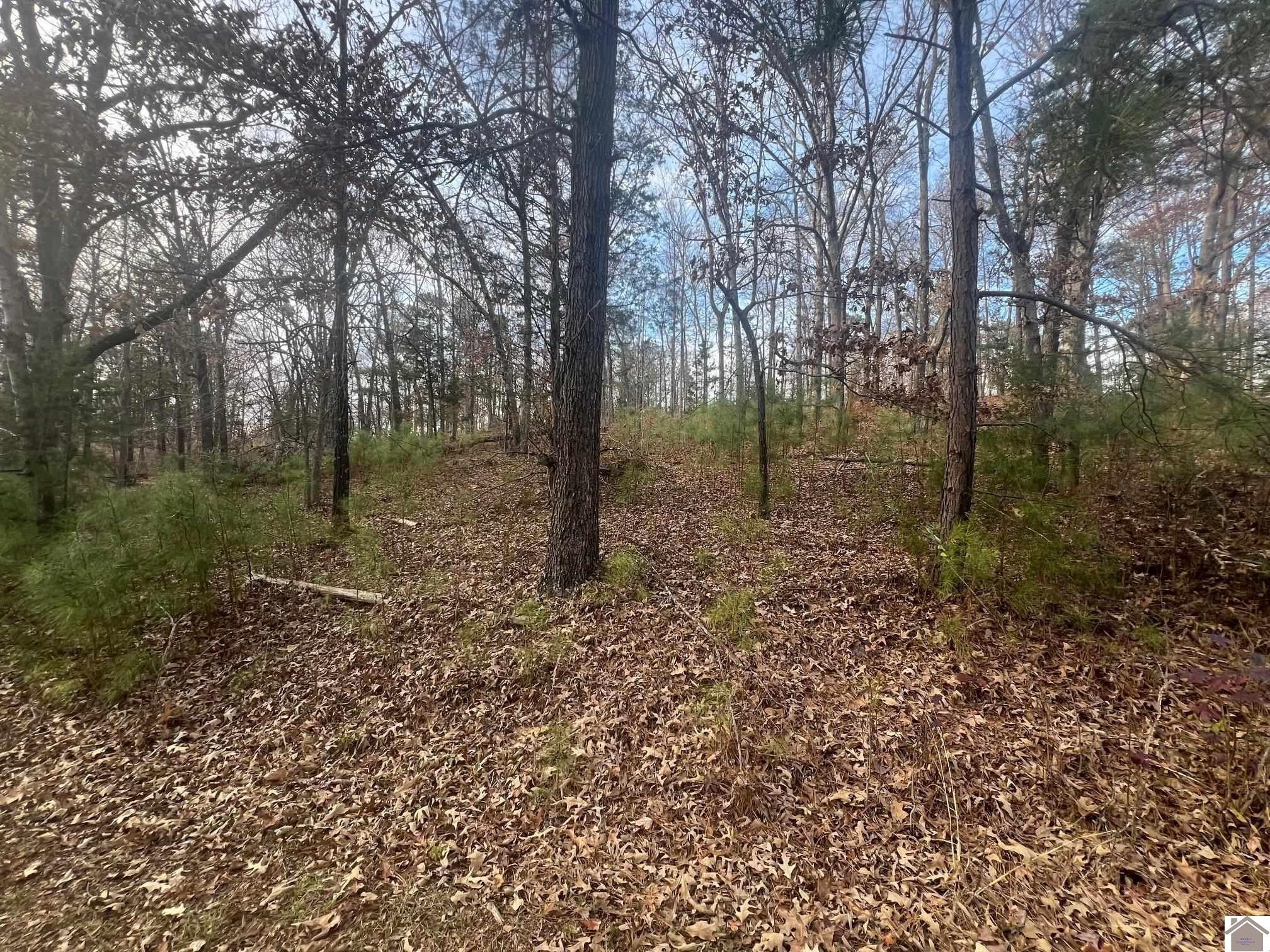 Other - Steamboat Rd, Gilbertsville, KY