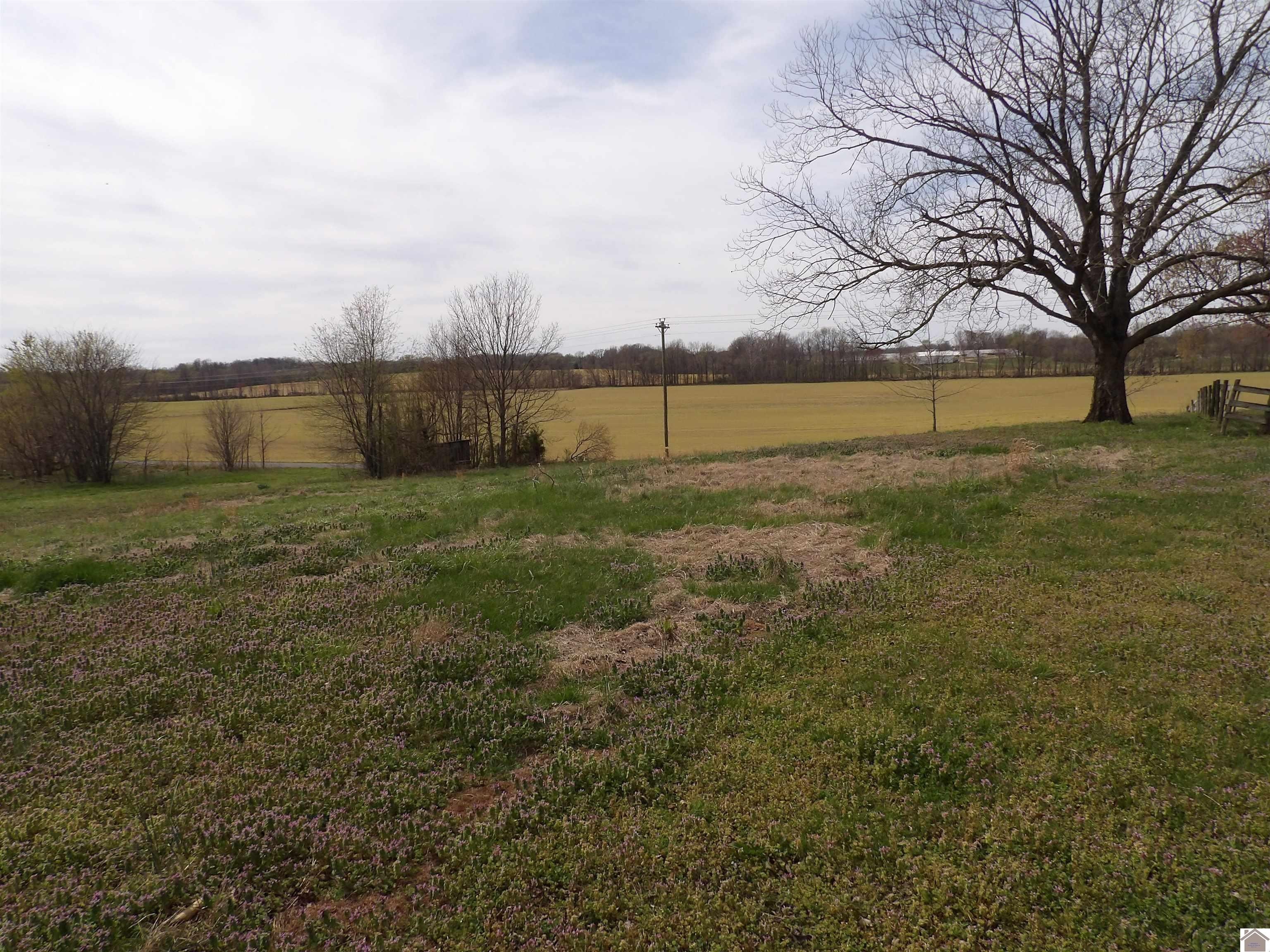 Single Family 3BR 1BA - 3162 Wingo Rd, Wingo, KY