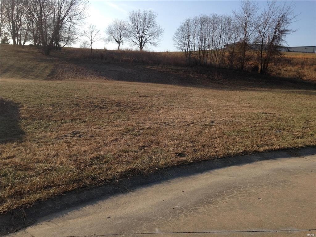 Other - 1533 Birchwood Court, Cape Girardeau, MO