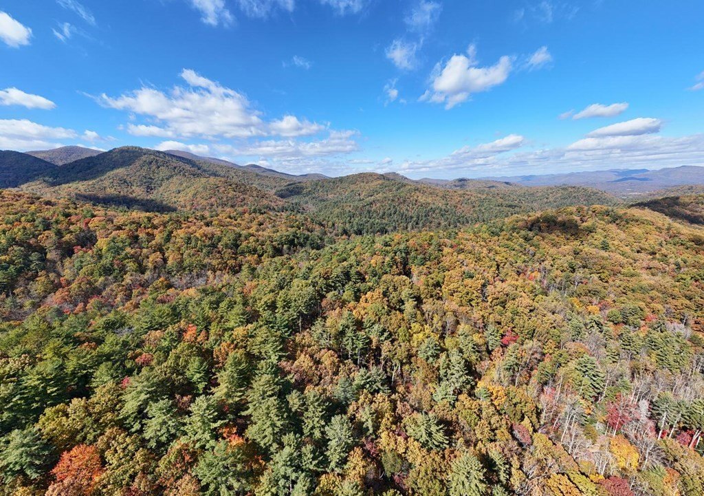 Other - Lot 8 Cindy Cove, Blairsville, GA