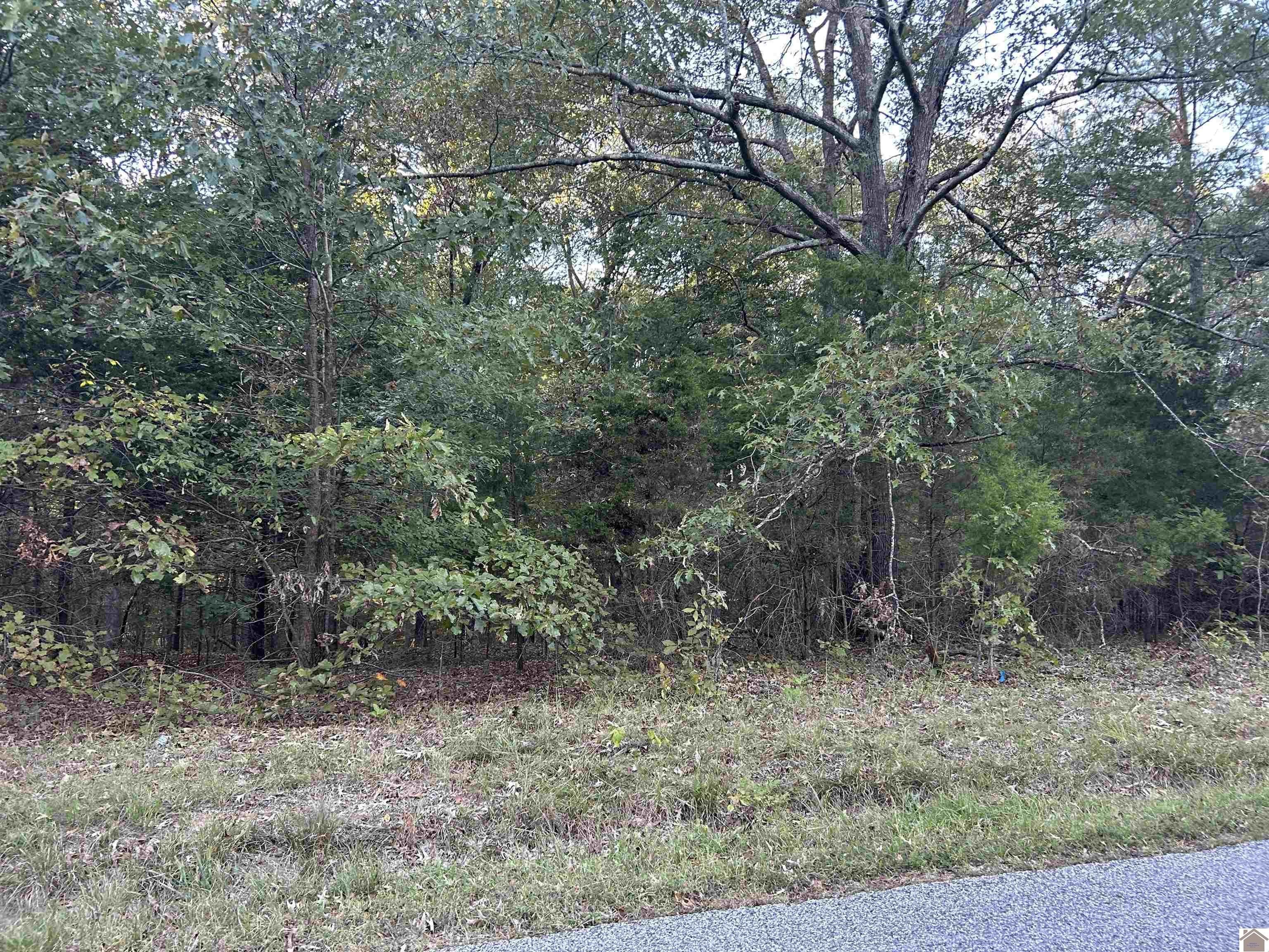 Other - 00 Beal Rd., Hardin, KY