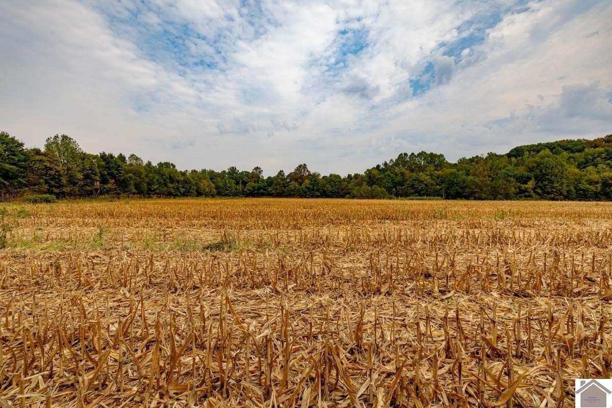 Plots and Land - 000 Hammond Road, Murray, KY