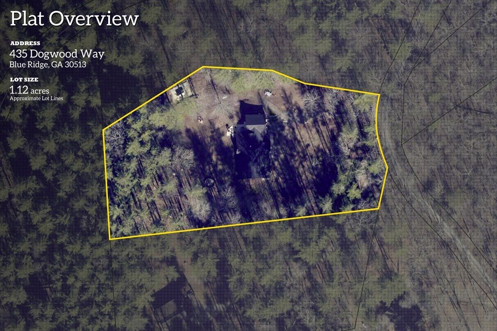 Single Family 4BR 2BA - 435 Dogwood Way, Blue Ridge, GA